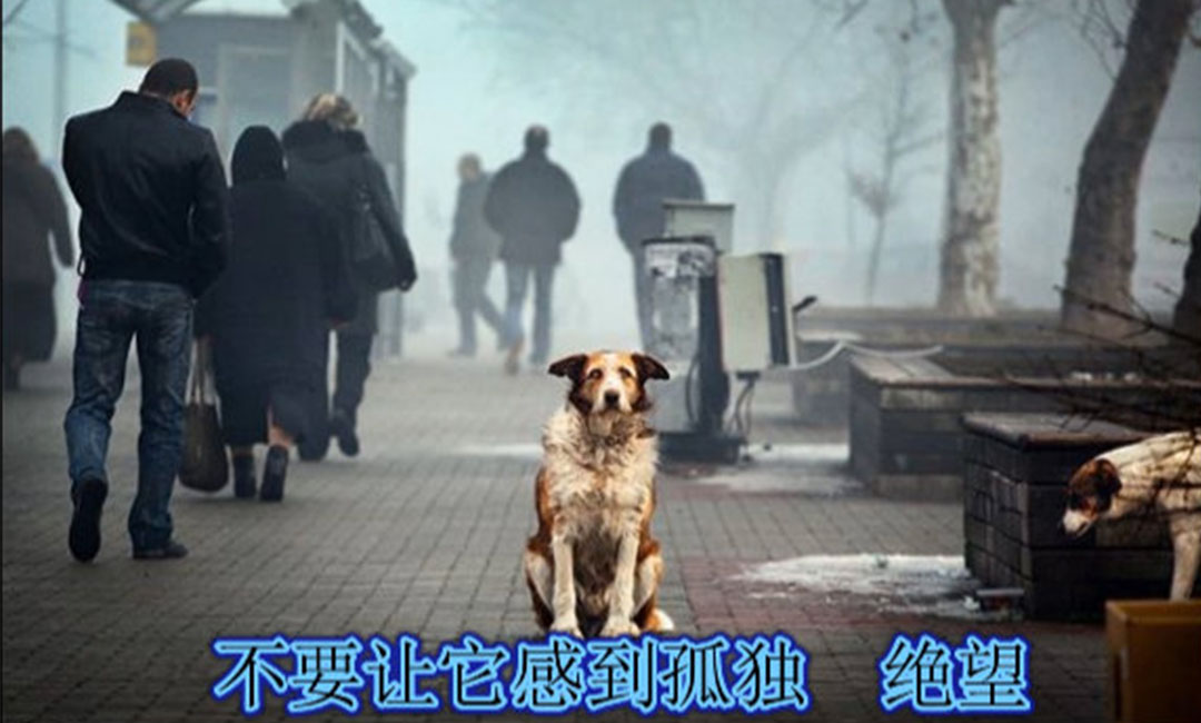 张家港张家港爱影圈微博微信转发案例